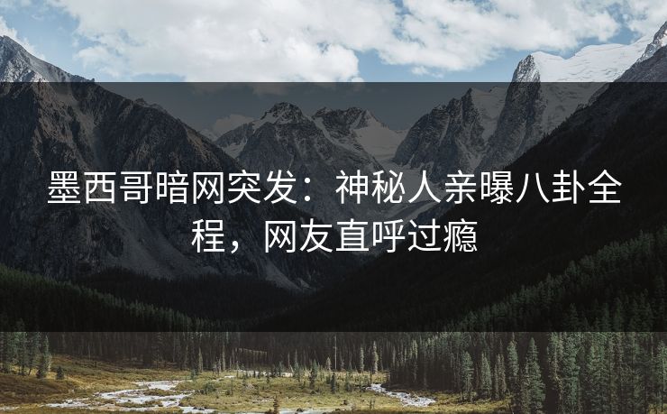 墨西哥暗网突发：神秘人亲曝八卦全程，网友直呼过瘾