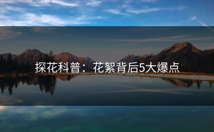 探花科普：花絮背后5大爆点