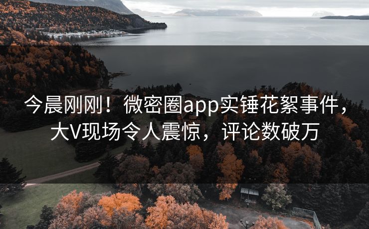今晨刚刚！微密圈app实锤花絮事件，大V现场令人震惊，评论数破万