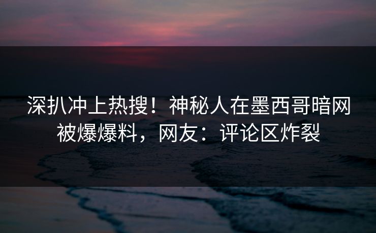 深扒冲上热搜！神秘人在墨西哥暗网被爆爆料，网友：评论区炸裂