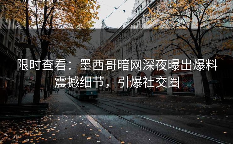 限时查看：墨西哥暗网深夜曝出爆料震撼细节，引爆社交圈