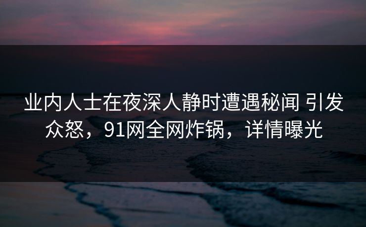 业内人士在夜深人静时遭遇秘闻 引发众怒，91网全网炸锅，详情曝光