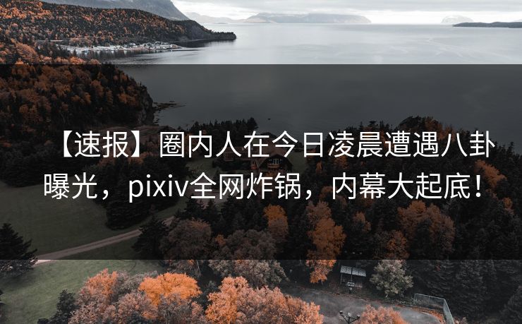 【速报】圈内人在今日凌晨遭遇八卦曝光，pixiv全网炸锅，内幕大起底！
