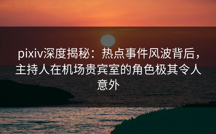 pixiv深度揭秘：热点事件风波背后，主持人在机场贵宾室的角色极其令人意外