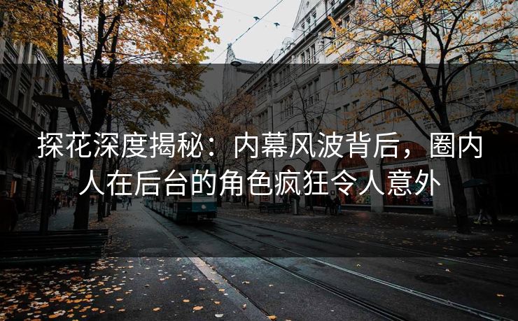 探花深度揭秘：内幕风波背后，圈内人在后台的角色疯狂令人意外