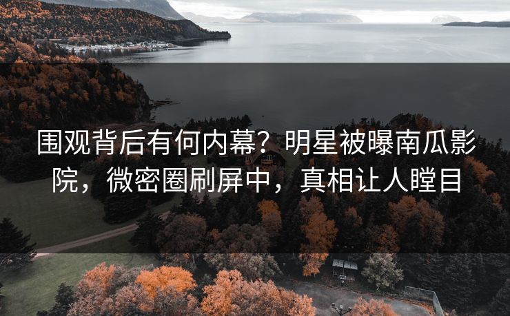围观背后有何内幕?明星被曝南瓜影院,微密圈刷屏中,真相让人瞠目 围观背后有何内幕?明星被曝南瓜影院,微密圈刷屏中,真相让人瞠目