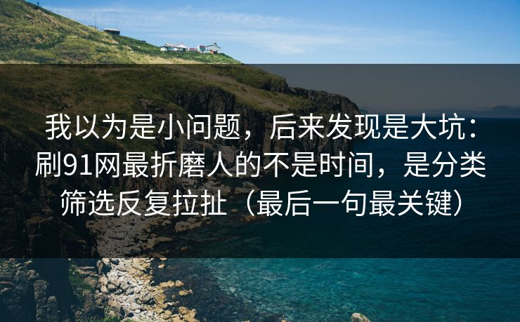 我以为是小问题，后来发现是大坑：刷91网最折磨人的不是时间，是分类筛选反复拉扯（最后一句最关键）